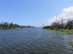 Etang du Gold longeant le rivage, vue vers le nord IMG_0420