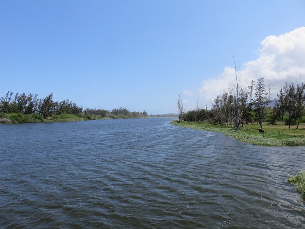 Etang du Gold longeant le rivage, vue vers le nord IMG_0420