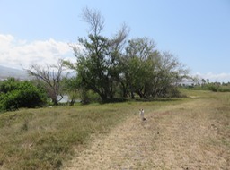 Paysage autour de l'Etang du Gol IMG_0384