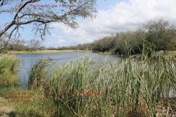 Paysage-Etang du Gol