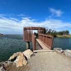IMG_6781.jpeg