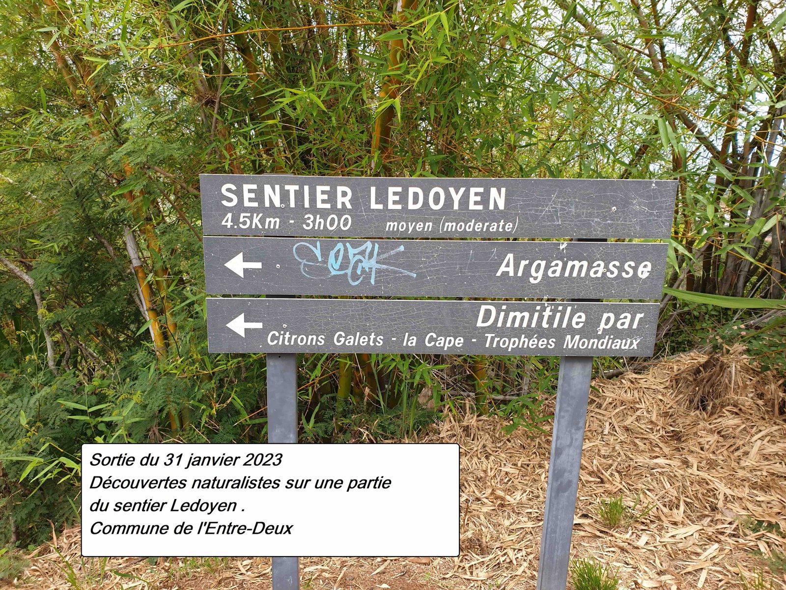 1 - Info.