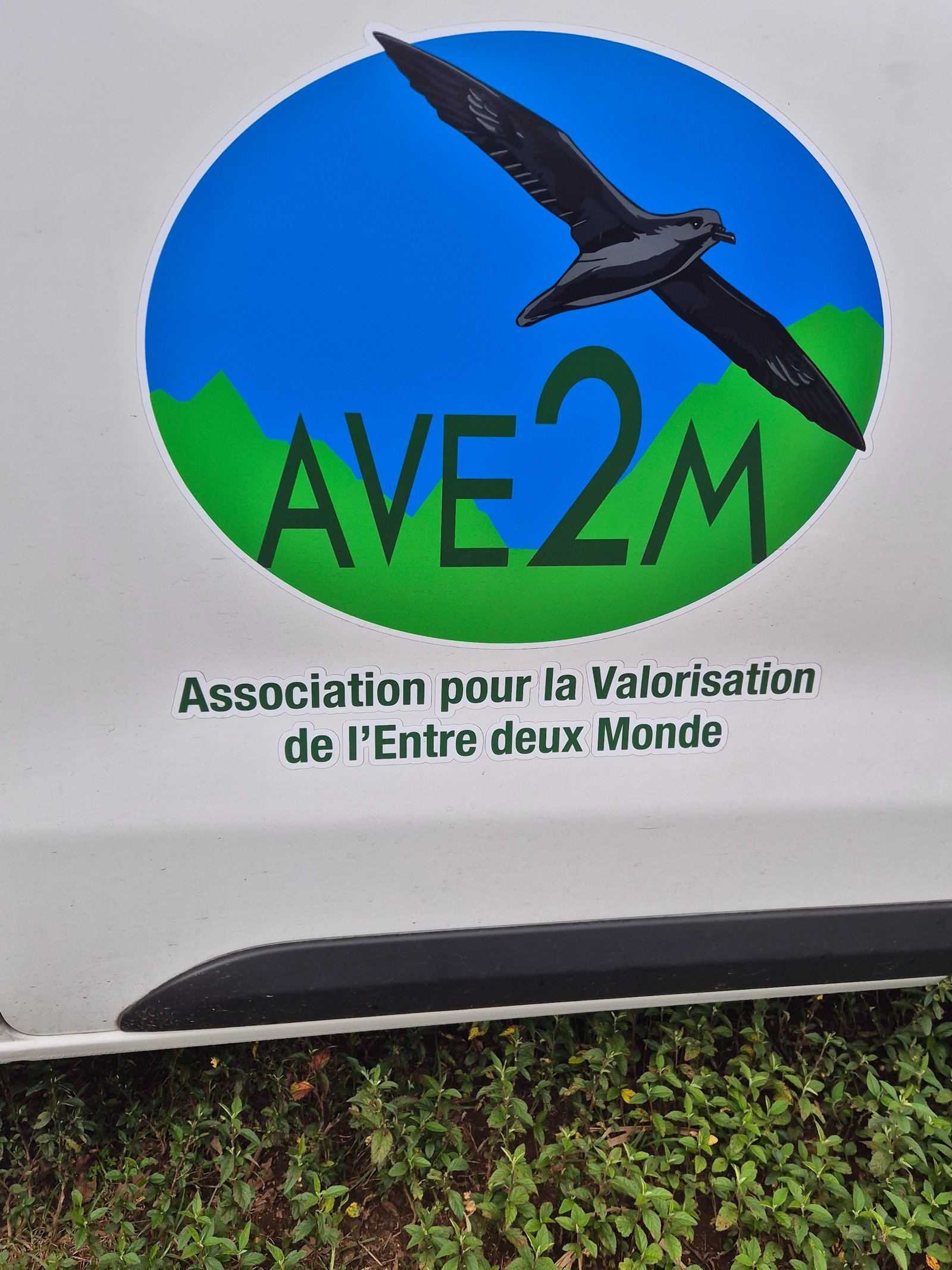 1.2 -  Ligne d'Equerre