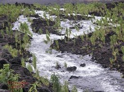 Coulée 2007- Cours d'eau éphémère 3