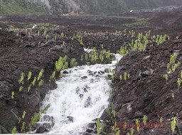 Coulée 2007-Cours d'eau éphémère 2