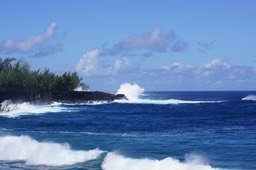 DSC00909