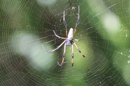 IMG_5857