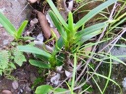 10. IMG_2293.JPG