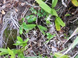 17. IMG_2303.JPG