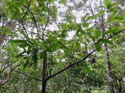 23. IMG_2310.JPG