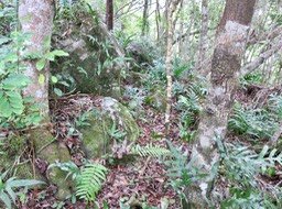 38.IMG_2329.JPG