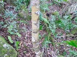 39. IMG_2331.JPG