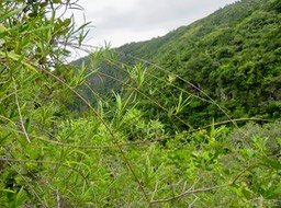 6. IMG_2288.JPG