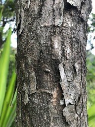 IMG_7967