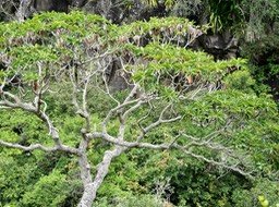 P1000343