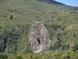 DSC04450 (2)