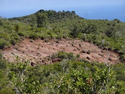 DSC04472