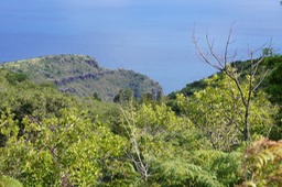 Paysage vu du Domaine Fleurié