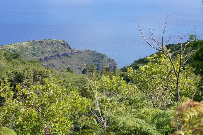 Paysage vu du Domaine Fleurié