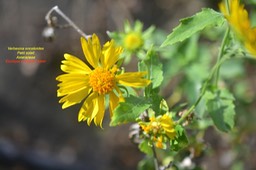 DSC_5191