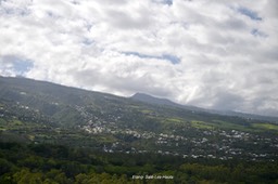 DSC_5213