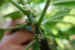 P6280054