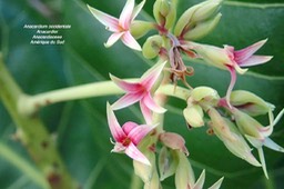 P6280063