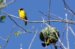 IMG_7089