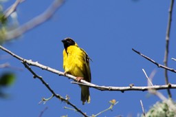 IMG_7091