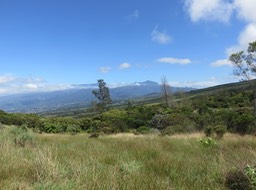 7. Le Piton des neiges (direction nord)