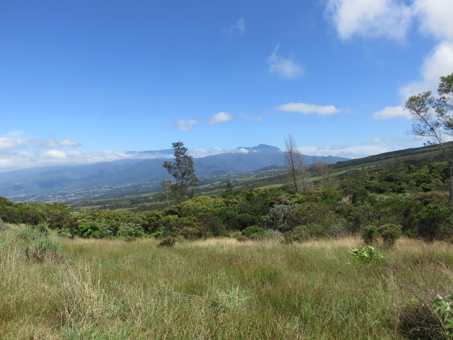 7. Le Piton des neiges (direction nord)