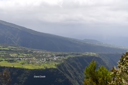 DSC_2612