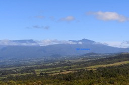DSC_2627