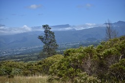 Grand Benare et Piton des Neiges depuis les Hauts de Mont Vert