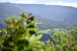 Grand Coude depuis les Hauts de Mont Vert