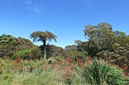 P1025056