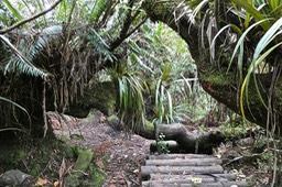 P1025222