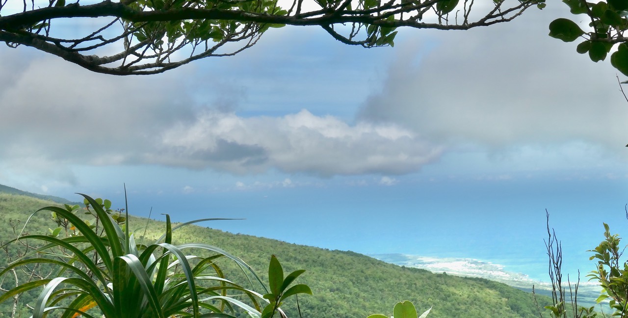 vue sur la côte (1).jpeg