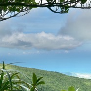 vue sur la côte (1).jpeg