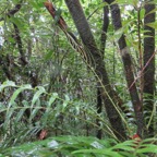 10. IMG_3710.JPG.jpeg