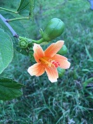 IMG_2122