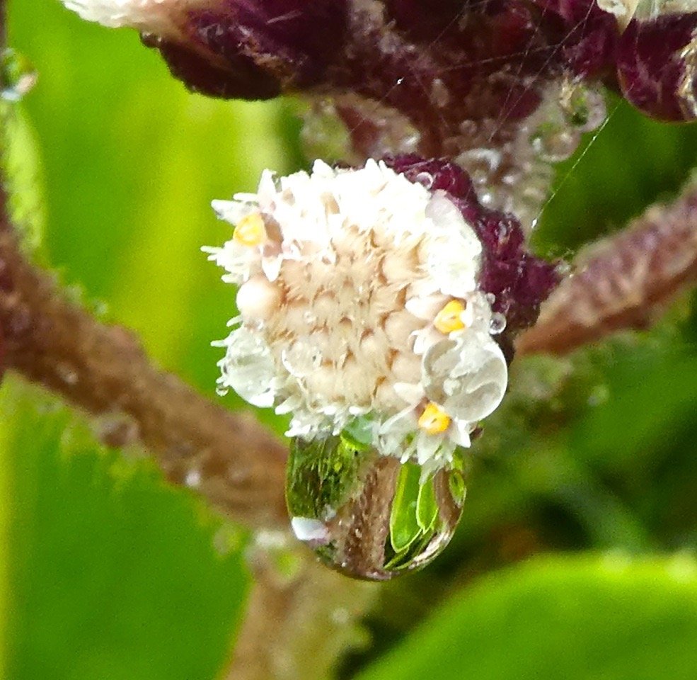 P1460676