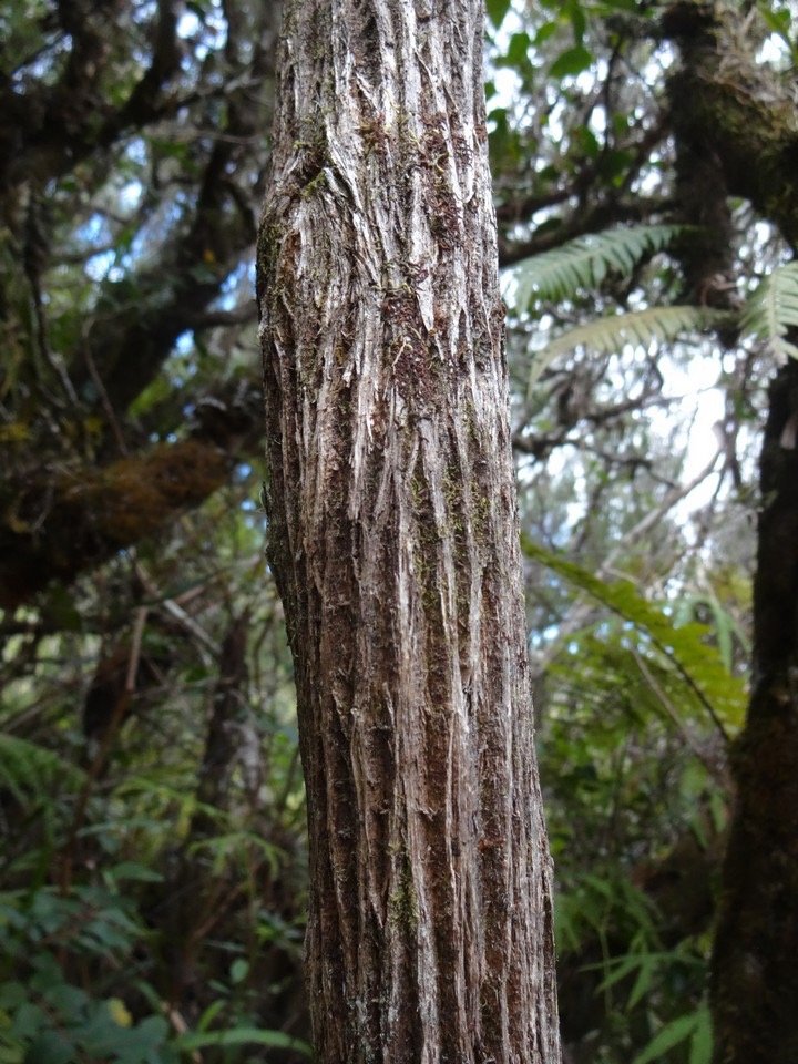 08 4 Ambaville Tonc DSC06946