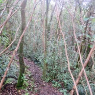28. Sentier  IMG_4645.JPG.jpeg