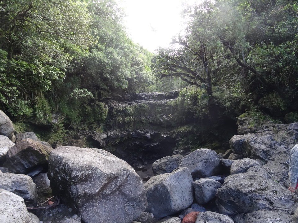 Ravine de la Mare (Bois Blanc) - DSC01092