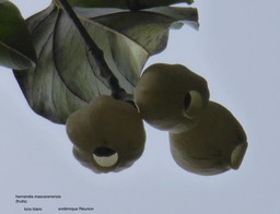 P1370230 - Version 2