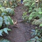 10. Le sentier du jour.jpeg