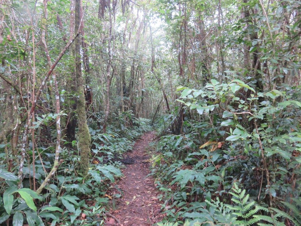 40. Le sentier du retour.jpeg