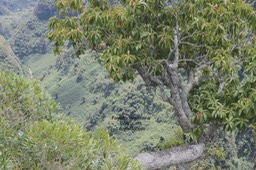 DSC_7582