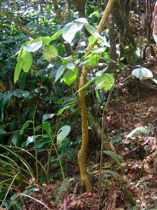 IMG 0057